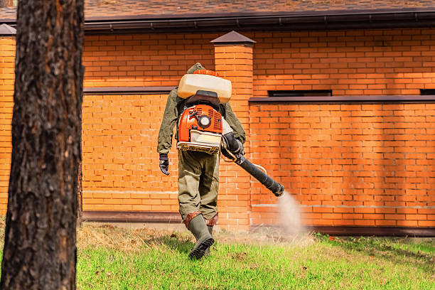 Trusted Rodent Control service in Mount Pleasant, UT - Nex Pest Control